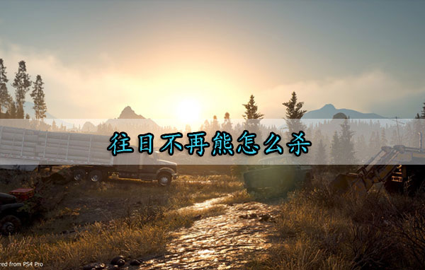 往日不再熊怎么杀（真没想到） 第1张