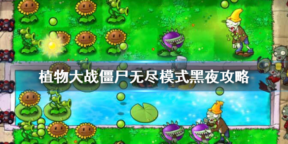 植物大战僵尸无尽模式黑夜攻略（满满干货） 第1张