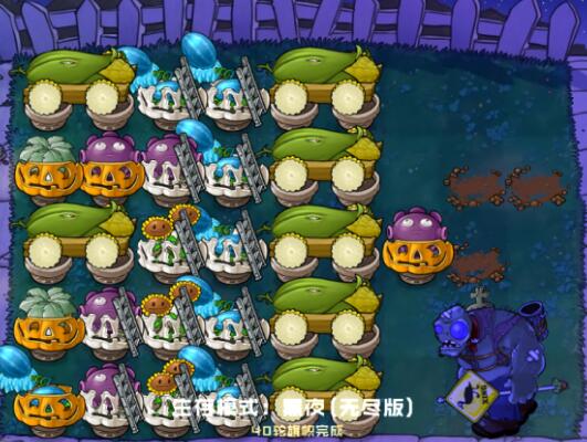 植物大战僵尸无尽模式黑夜攻略（满满干货） 第2张