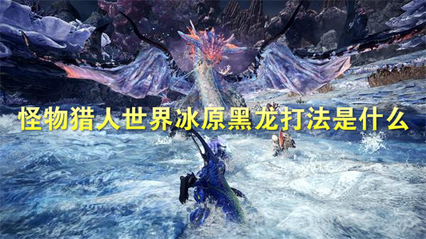 怪物猎人世界冰原黑龙打法是什么（不看后悔） 第1张