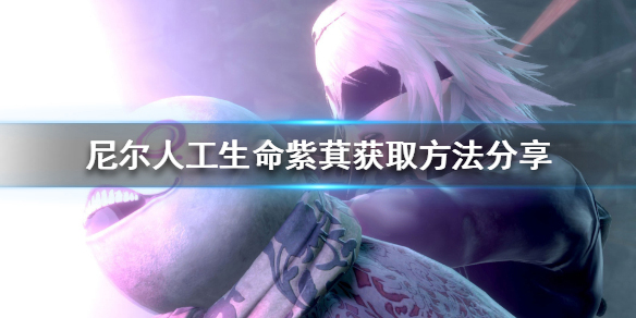 尼尔人工生命紫萁获取方法分享（学到了吗） 第1张