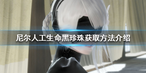 尼尔人工生命黑珍珠获取方法介绍（一看就会） 第1张