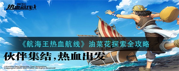 航海王热血航线油菜花探索全攻略（居然可以这样） 第1张