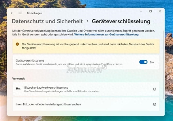 微软会玩！Windows 11 24H2细节曝光：对数据默认加密、影响SSD性能 Windows 24H2 第2张