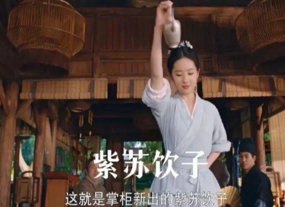 宋朝时期，有哪些解暑的饮料？（新鲜出炉） 第4张