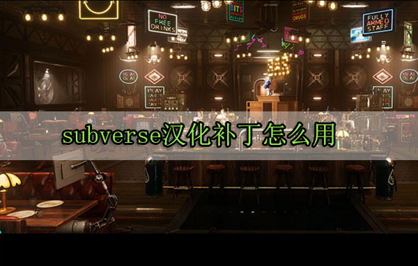 subverse汉化补丁怎么用（万万没想到） 第1张