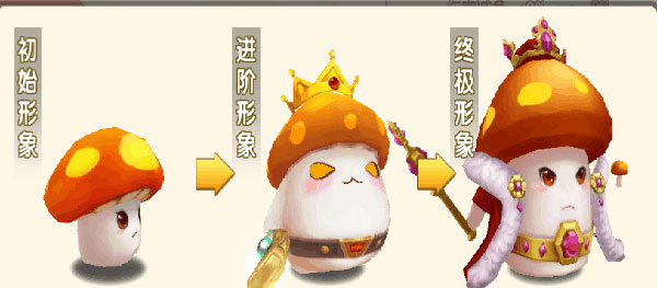 冒险王3ol宠物介绍（快来看） 第14张