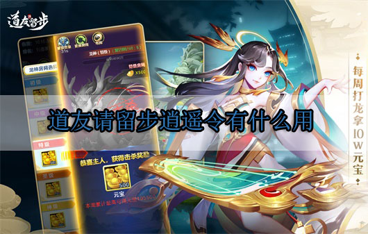 道友请留步逍遥令有什么用（万万没想到） 第1张