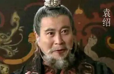 袁绍为何不提前杀光宦官，从而保住何进的命呢？（居然可以这样） 第1张