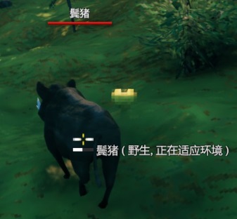 Valheim英灵神殿猪能繁殖吗（居然可以这样） 第2张