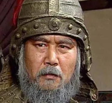 魏灭蜀之战时钟会为何会做为曹魏的主力？（学会了吗） 第1张