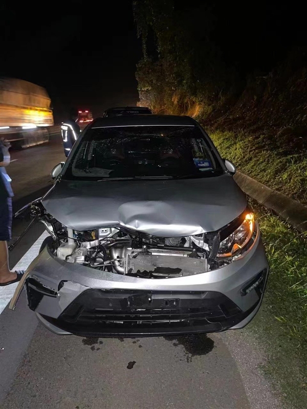 马来西亚一只猛虎横穿马路时被撞死：行车记录仪曝光 马来西亚 猛虎被撞死 第1张
