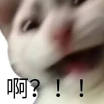 在胡子里插入602根烧烤签子是一种什么样的检验 胡子里插入602根烧烤签 第8张