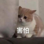 在胡子里插入602根烧烤签子是一种什么样的检验 胡子里插入602根烧烤签 第25张