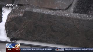 楚国版“餐盘”亮相 武王墩考古有这些新发现  楚国餐盘 第7张
