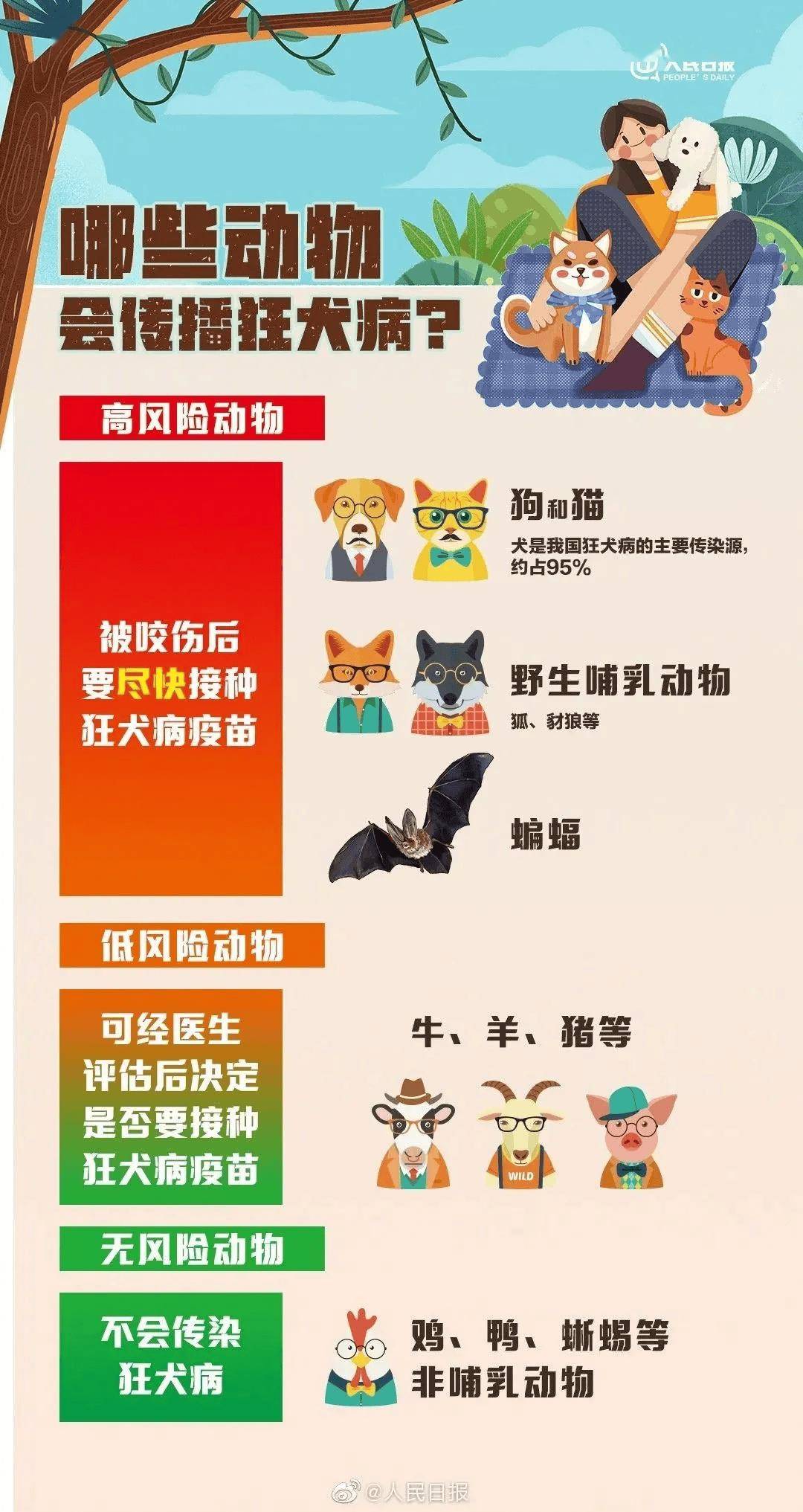 狂犬病的常见误区，你中招了吗？如何预防狂犬病发生？ 狂犬病 如何预防狂犬病 第1张