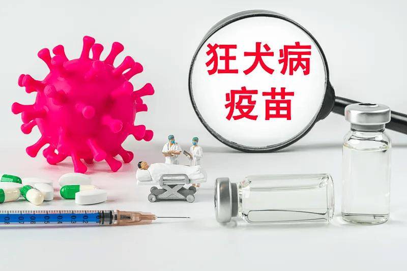 狂犬病的常见误区，你中招了吗？如何预防狂犬病发生？ 狂犬病 如何预防狂犬病 第2张