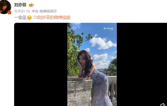 刘亦菲近照曝光，依然是卷长发优雅迷人 刘亦菲 第2张