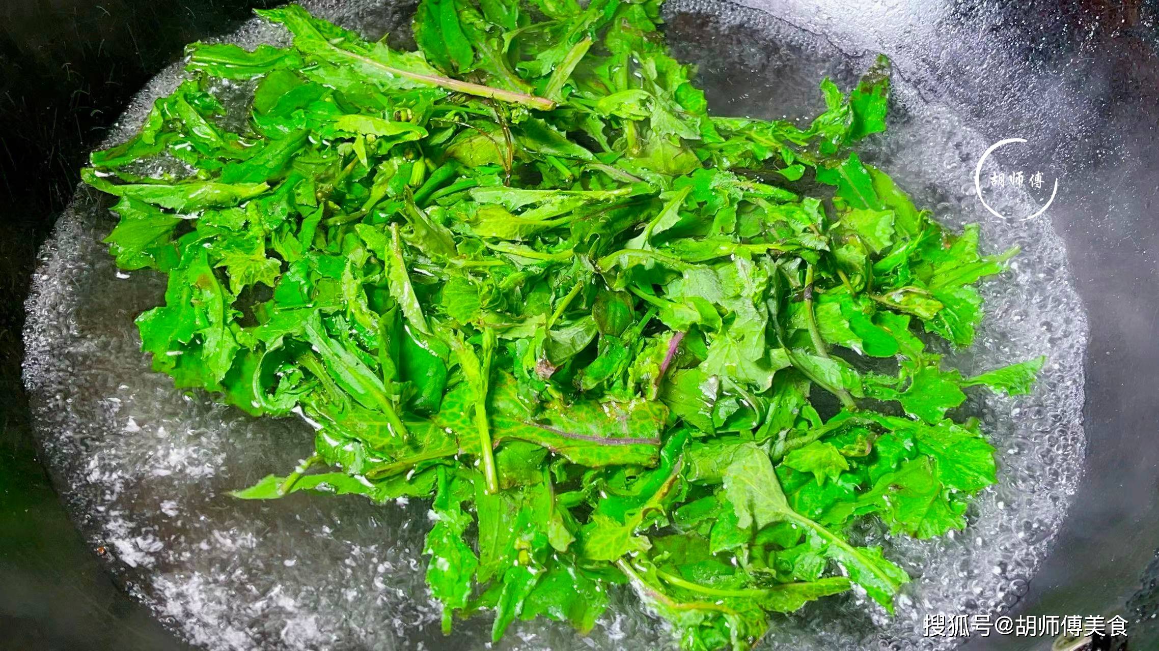 夏天，吃一点红，一排毒，二利尿，三消炎，还是“铁打药”  野草 一点红 第5张