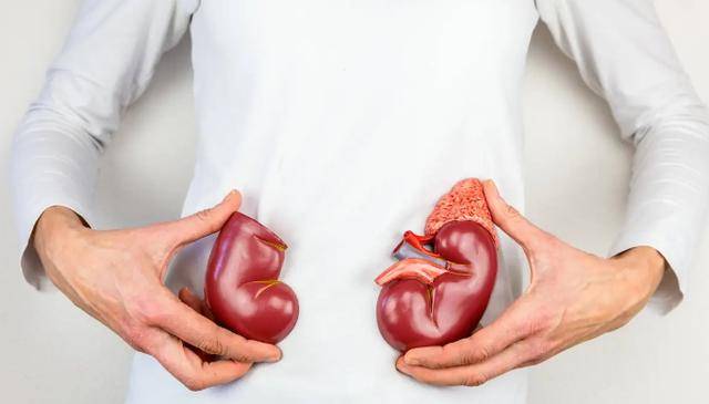 怎么样吃红薯才健康？哪些人群不宜吃红薯 怎么样吃红薯才健康 哪些人群不宜吃红薯 第9张