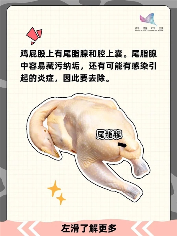 鸡的这个部位吃不得！宁可扔掉也不要吃！ 第10张