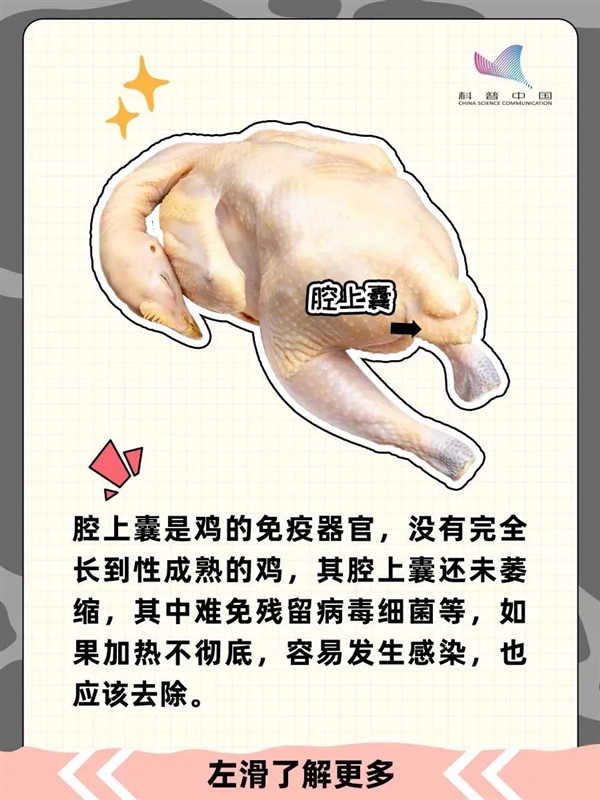 鸡的这个部位吃不得！宁可扔掉也不要吃！ 第11张