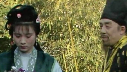 红楼梦中，身为丫头的鸳鸯内心里到底想不想做姨娘？（太疯狂了） 第1张
