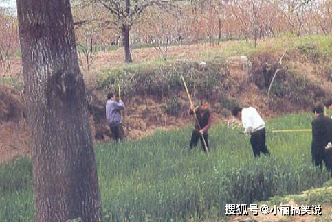 秦始皇陵，考古队的洛阳铲带上来3块青石，专家大笑：找到地宫了  秦始皇陵 第2张