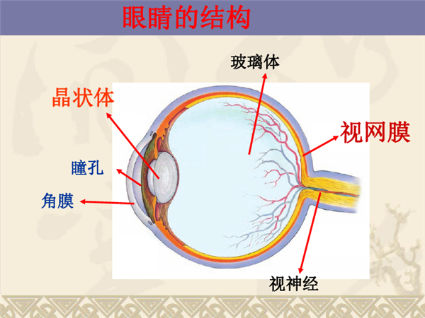 盲人的世界能看到啥？完全黑暗 还是一片虚无 盲人 第3张
