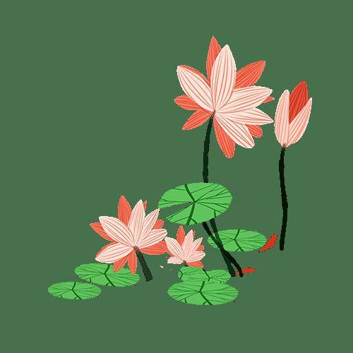 保胃健康：要想今夏不“伤心”，就吃这5种红色食物 保胃 第1张