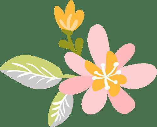 保胃健康：要想今夏不“伤心”，就吃这5种红色食物 保胃 第3张