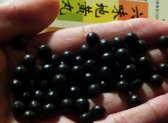  50岁大叔，坚持服用六味地黄丸，如今身体有啥变化？医生揭秘真相 六味地黄丸 第5张