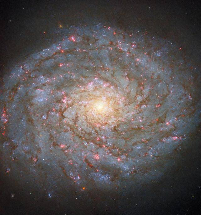 哈勃太空望远镜拍摄到散发着宝石光泽的螺旋星系NGC 4689  哈勃太空望远镜 星系NGC 第1张