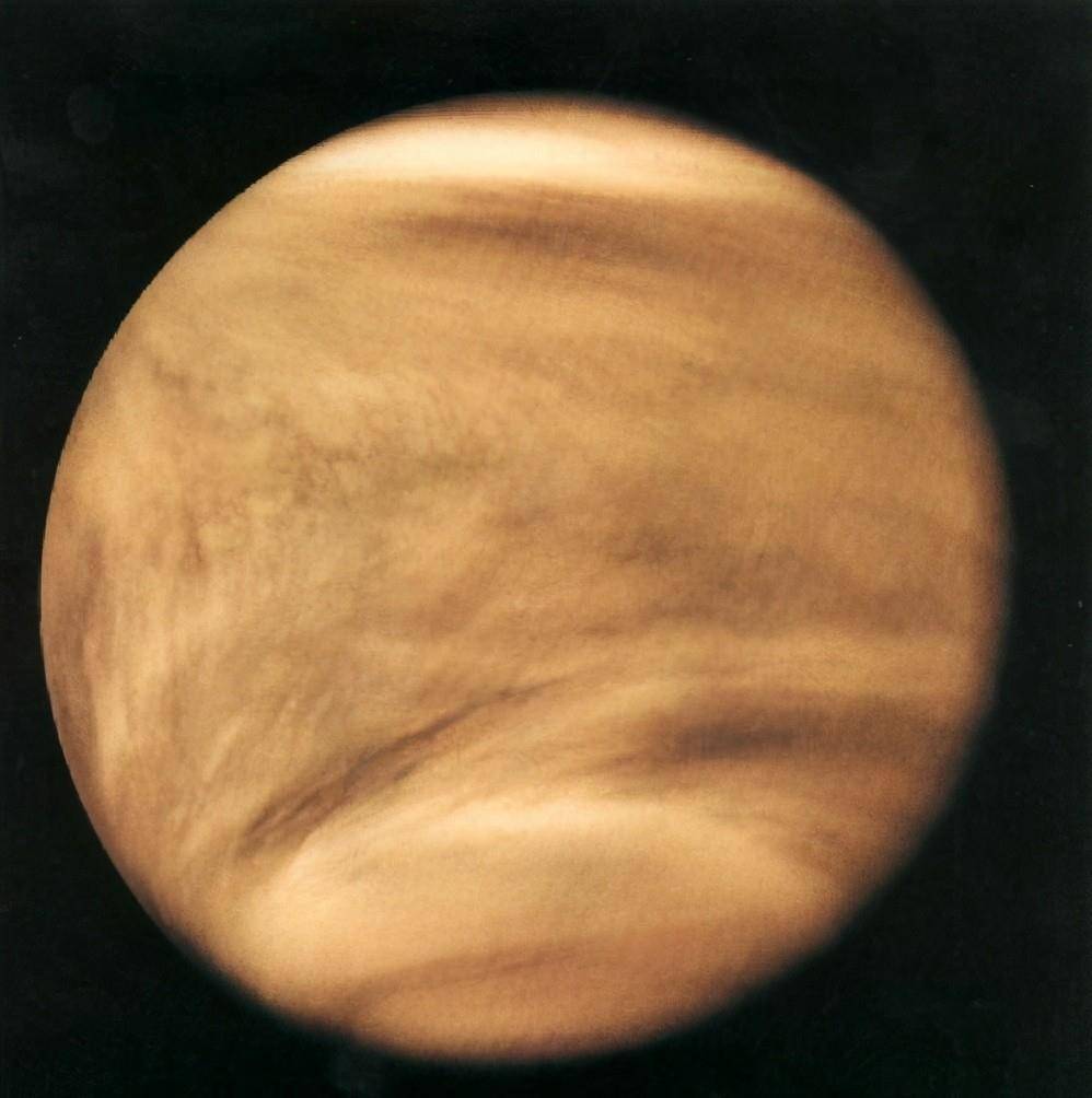 67年前来自金星的美女，巨大的额头中间有一条凸起的骨头  金星 第1张