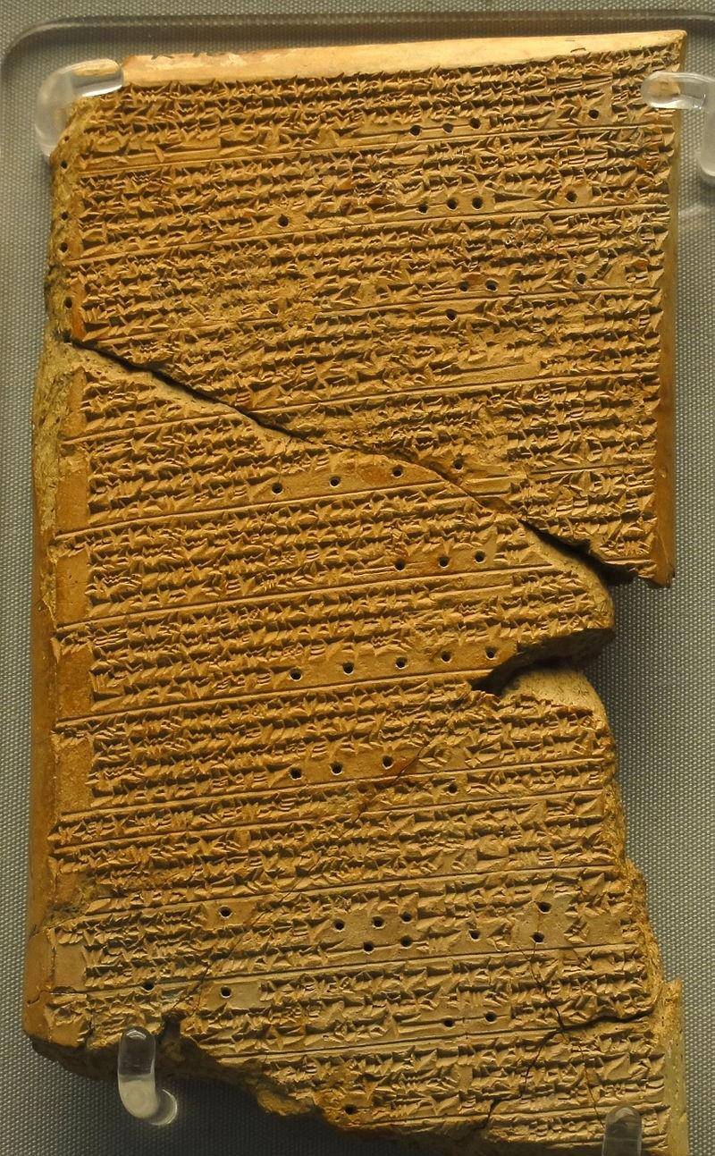 67年前来自金星的美女，巨大的额头中间有一条凸起的骨头  金星 第2张
