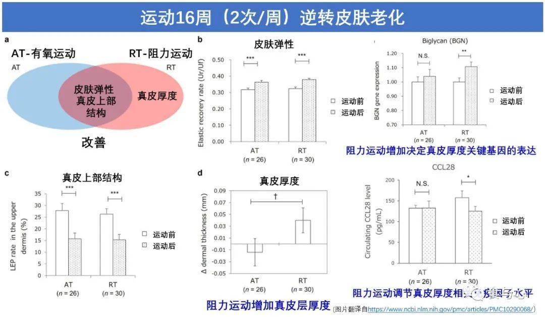 三项研究告诉你，为什么运动能帮人青春常驻  运动能帮人青春常驻 第4张