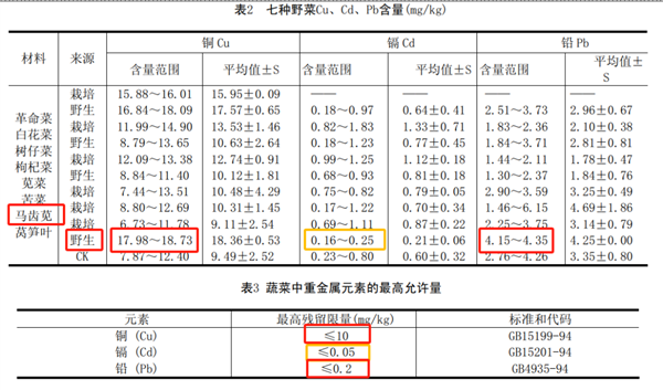 维生素C 16倍于西梅、蛋白质7.7倍于冬瓜：这种“长寿菜”现在吃正好 长寿菜 第1张