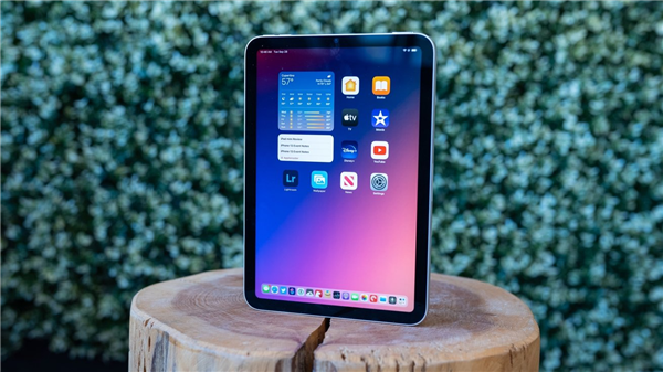 新款iPad mini前瞻：苹果终究还是要淘汰LCD iPad mini LCD 第3张