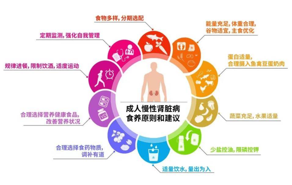 慢性肾病不同分期如何食养？（内附食养方）  慢性肾病 第1张