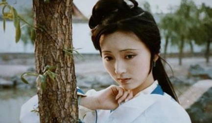 林黛玉是有遗产的，贾府众人究竟有没有将其贪没？（这样也行？） 第3张
