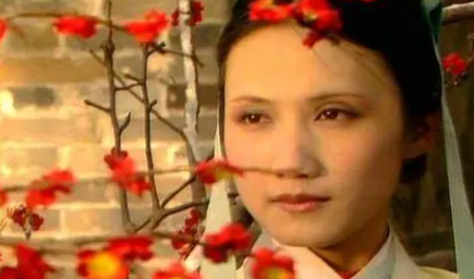 为何说妙玉慢慢活成了贾府里身份最尴尬的那个人？（太疯狂了） 第2张