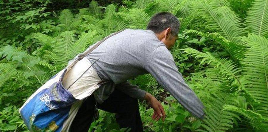 广西村民采药迷路深山，意外发现飞机残骸，揭开52年前未解之谜  飞机残骸 第4张