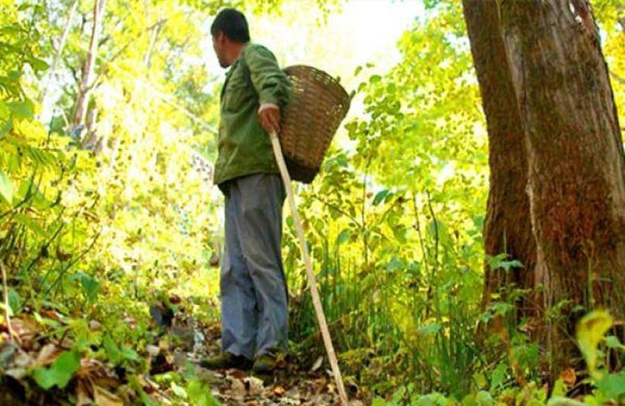 广西村民采药迷路深山，意外发现飞机残骸，揭开52年前未解之谜  飞机残骸 第3张