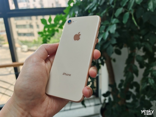童年时的一台手机改变了我的人生轨迹：我与iPhone的14年 iPhone 第5张