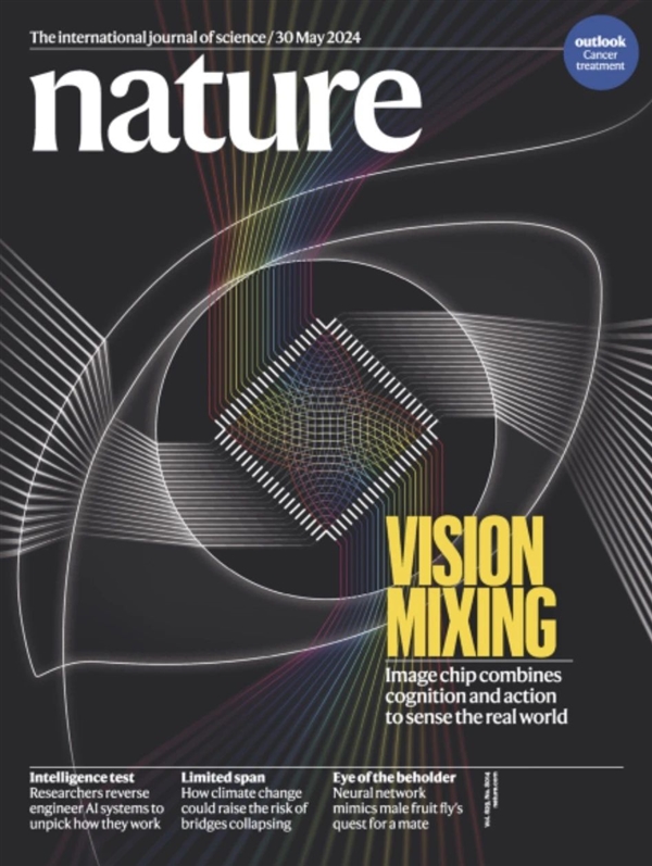 世界首款！清华大学科学家研制类脑互补视觉芯片“天眸芯” 脑互补视觉芯片 天眸芯 第2张