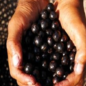  40岁女人雌激素减少怎么办？吃这6种碱性食物补充雌激素不显老 雌激素减少怎么办 碱性食物 第1张