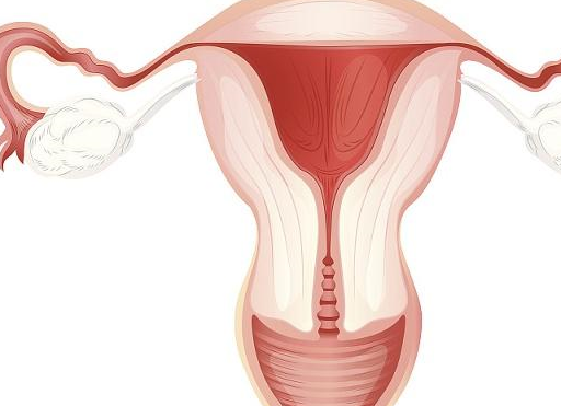 女人来例假时，若这3种情况1个都没有，说明你的卵巢蛮年轻哦  卵巢蛮年轻 第1张