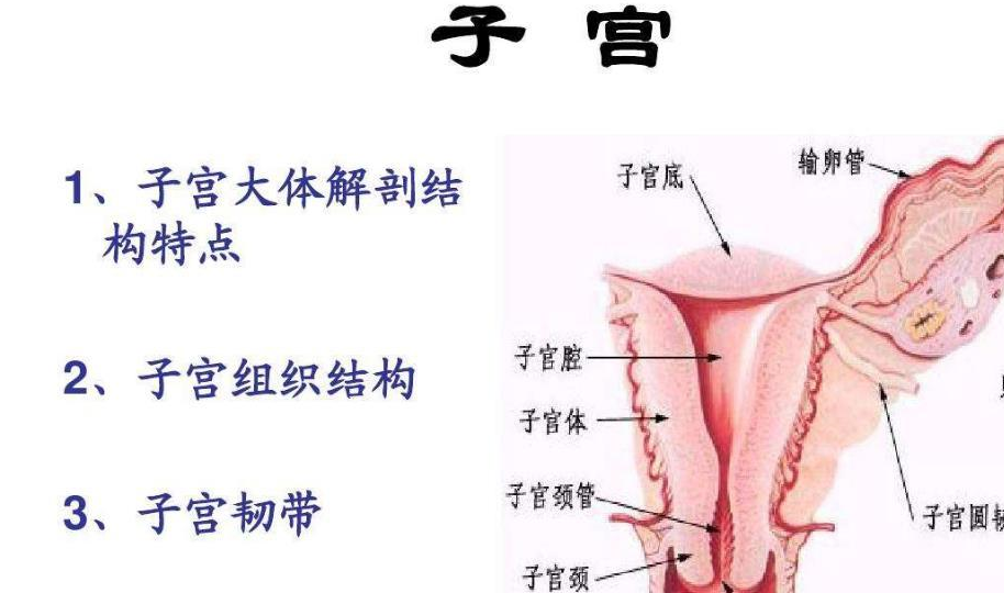 女性最伤“子宫”的5大“行为”，第3个你可能正在做，要注意了  伤子宫的行为 第1张