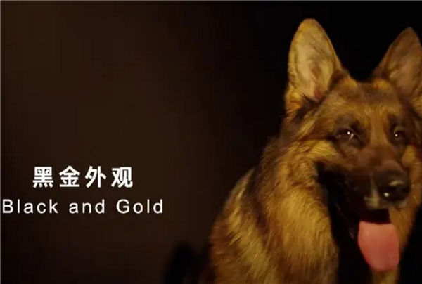 简单高效！只有中国人才能看懂的散装英文 网友直呼越看越上头  散装英文 第1张
