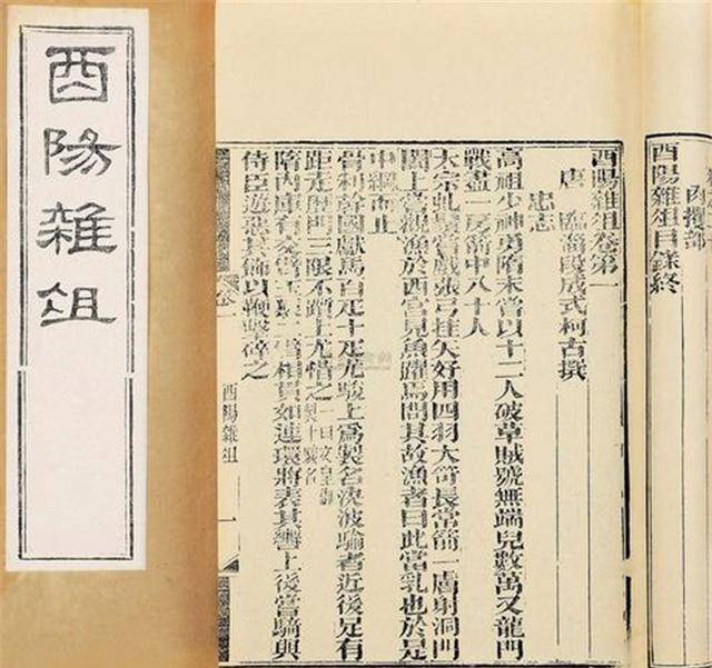 碰见外星人，月球上有八万二千户修理工，唐朝传说类似科幻  外星人 月球修理工 唐朝 第3张
